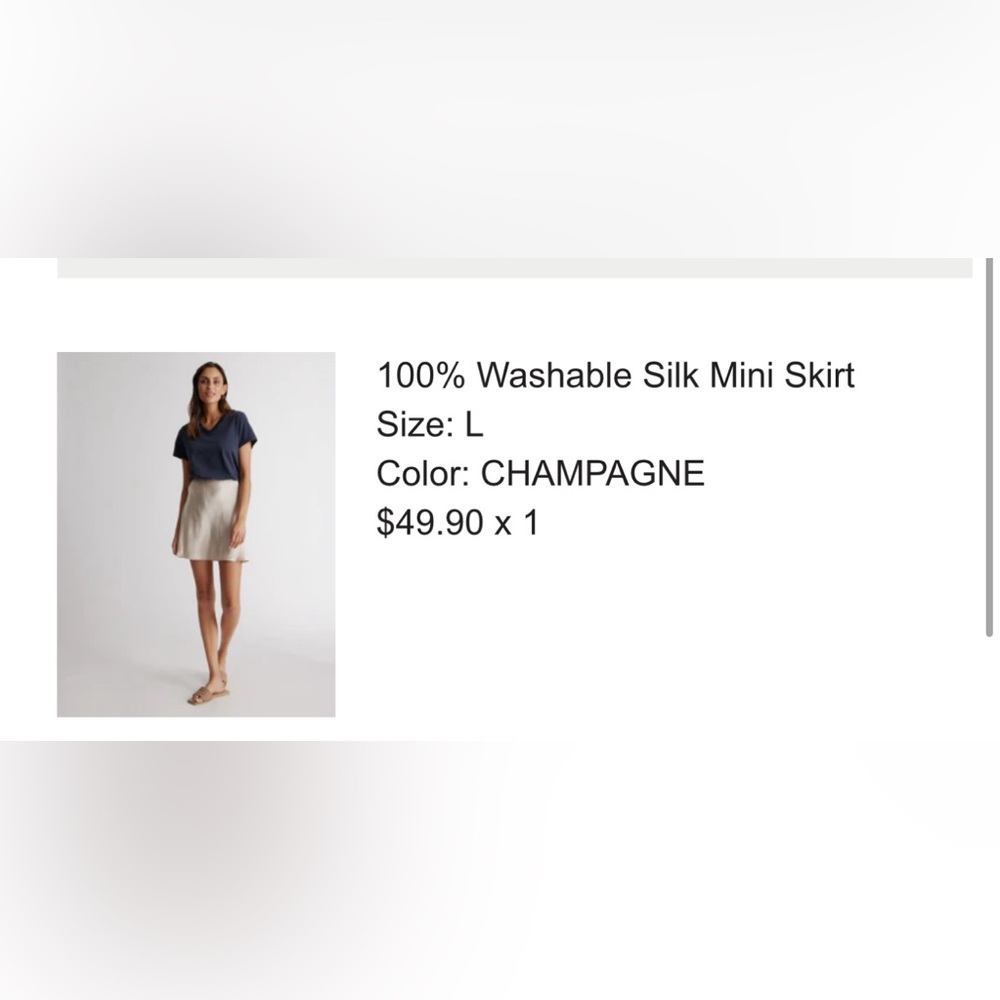 NWT Quince Silk Skirt